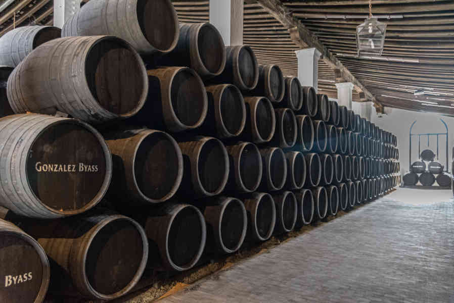 Cádiz - Jerez de la Frontera 57 - bodegas Gonzalez Byass.jpg